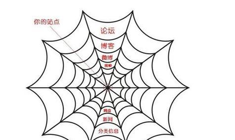 如何让搜索引擎蜘蛛来适应网站？有哪些优化策略可以提高蜘蛛爬取效率？