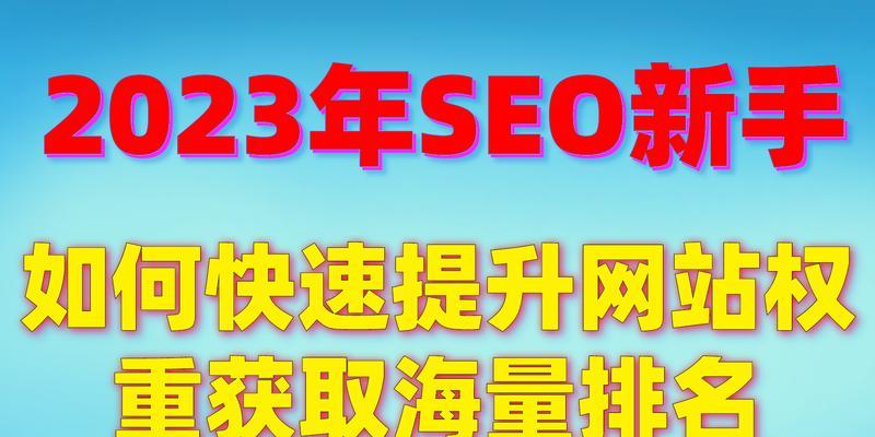 SEO新手必备：掌握哪些SEO技巧能提升网站排名？