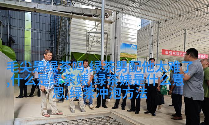 如何通过电子邮件营销优化提升搜索引擎排名？