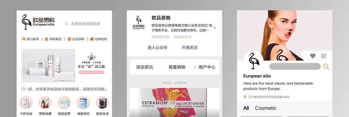 如何选择专业的网站设计制作服务？