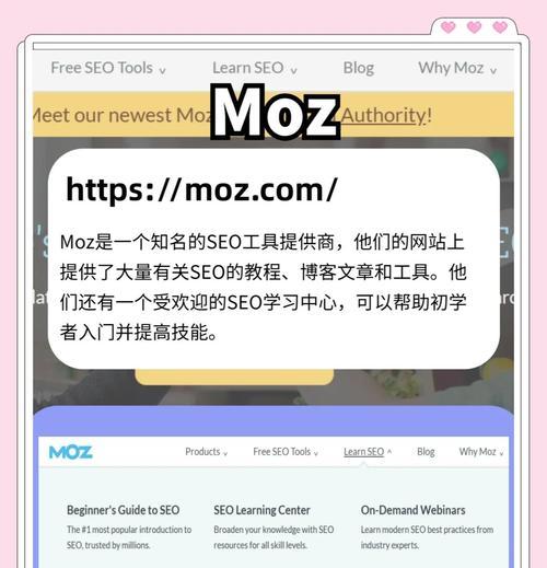 大灰狼搜索引擎是什么意思？它的功能和特点是什么？