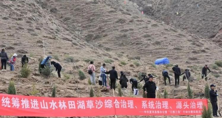 甘南网站优化哪家公司好？如何选择？
