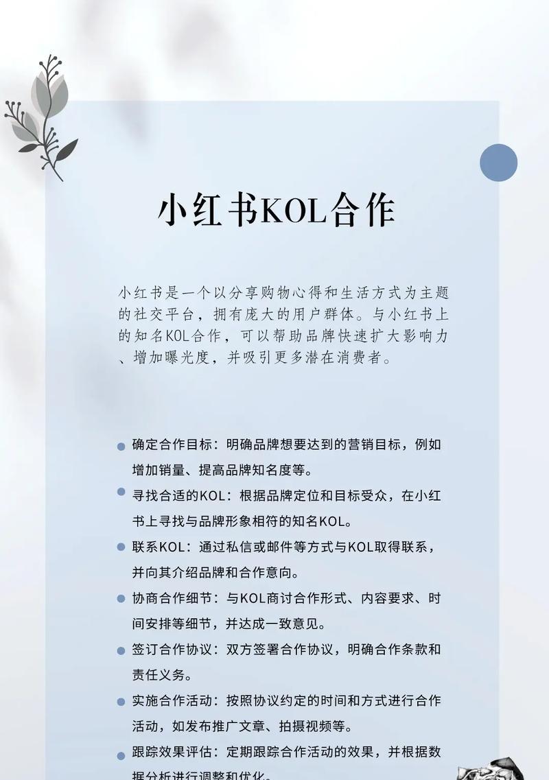 小红书seo招商批发的策略是什么？