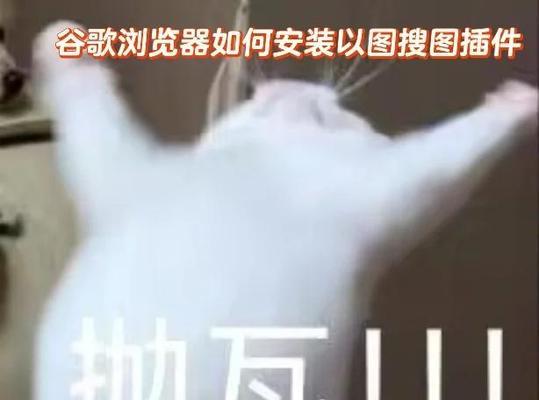 谷歌网站优化插件怎么用？如何使用谷歌网站优化插件？